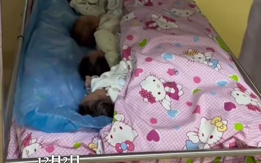 12月2日，湖南。满车都是刚出生的小棉袄，真的有宝宝巴士，网友：这样要怎么区分呢？