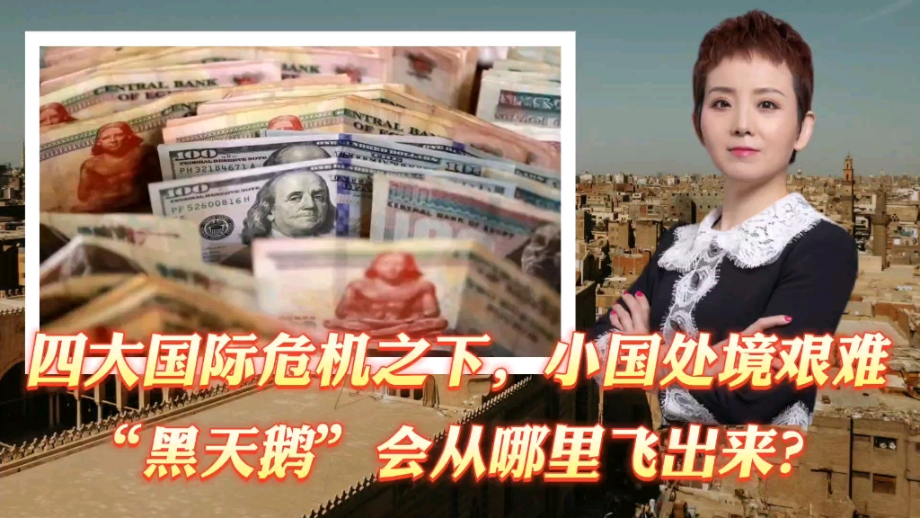 四大国际危机之下，小国处境艰难，"黑天鹅"会从哪里飞出来？
