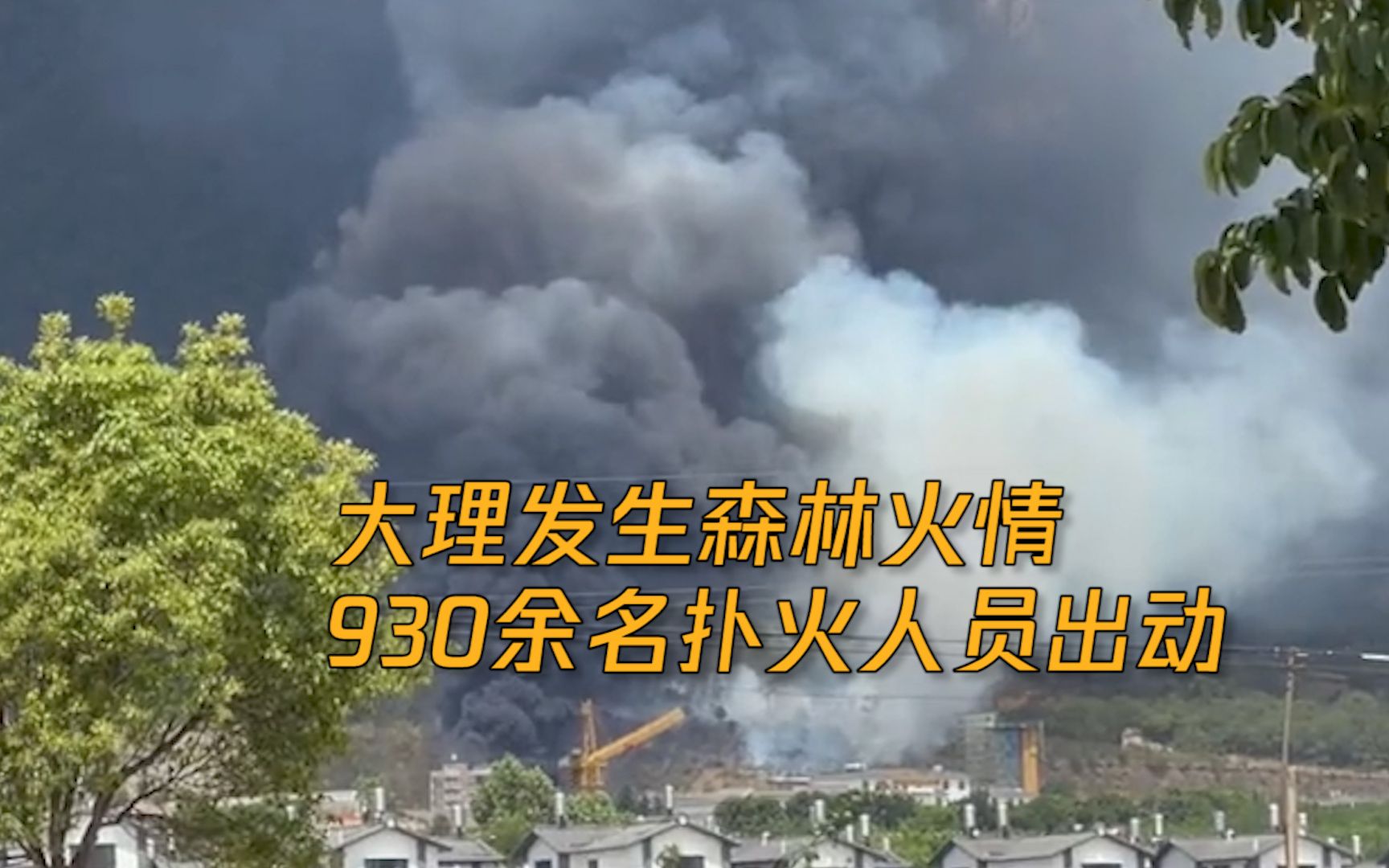 现场浓烟弥漫！云南大理发生森林火情 930余名专业扑火员正全力灭火
