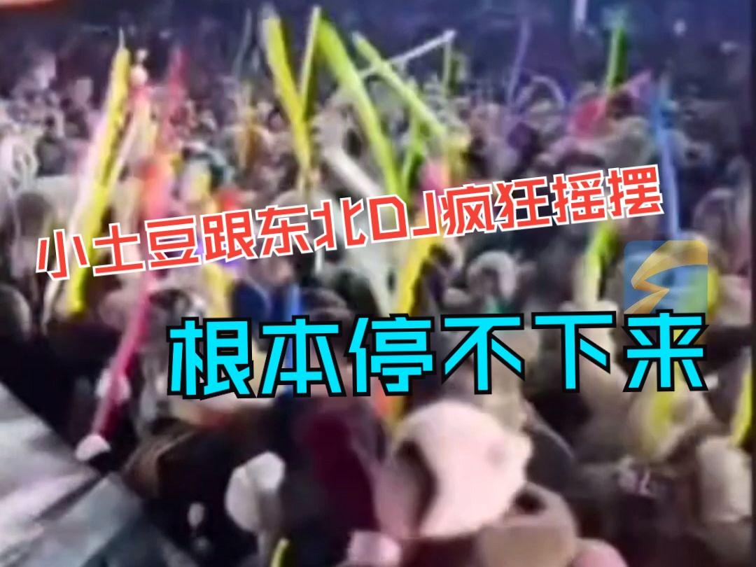 天生的气氛组！“小土豆”跟着东北DJ疯狂摇头挥手