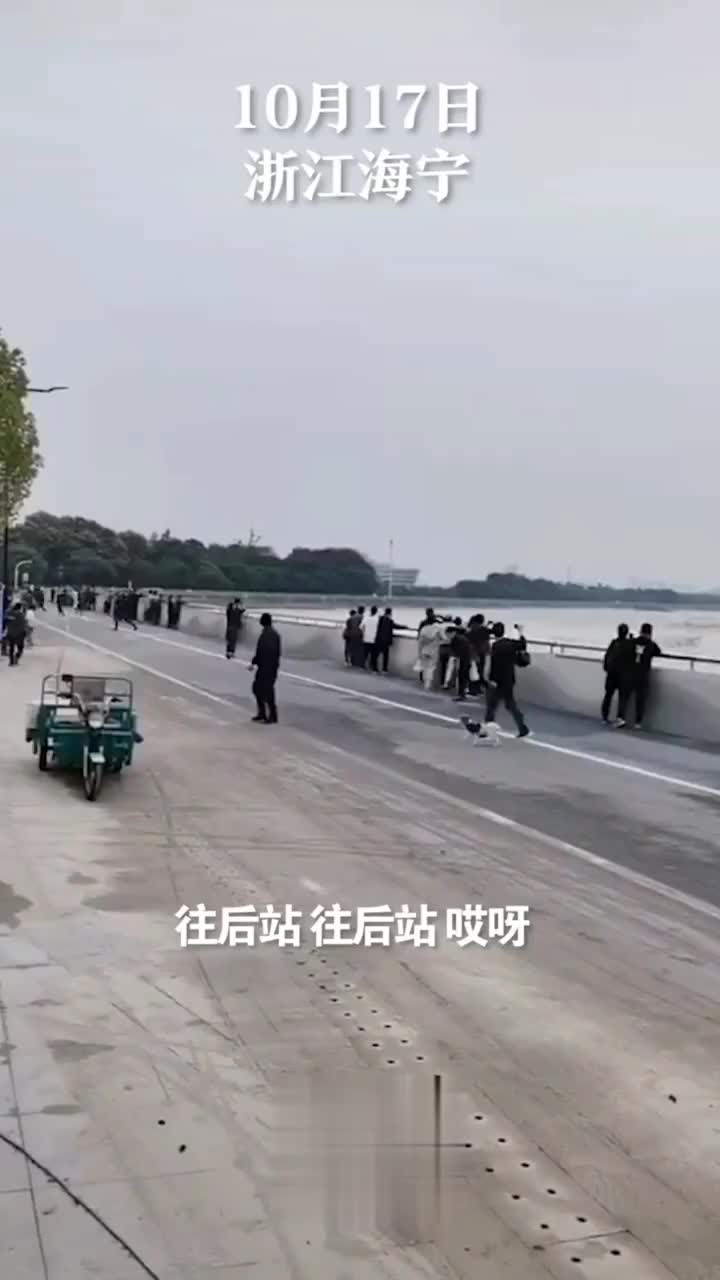 还不跑？！游客观钱塘江大潮被冲倒