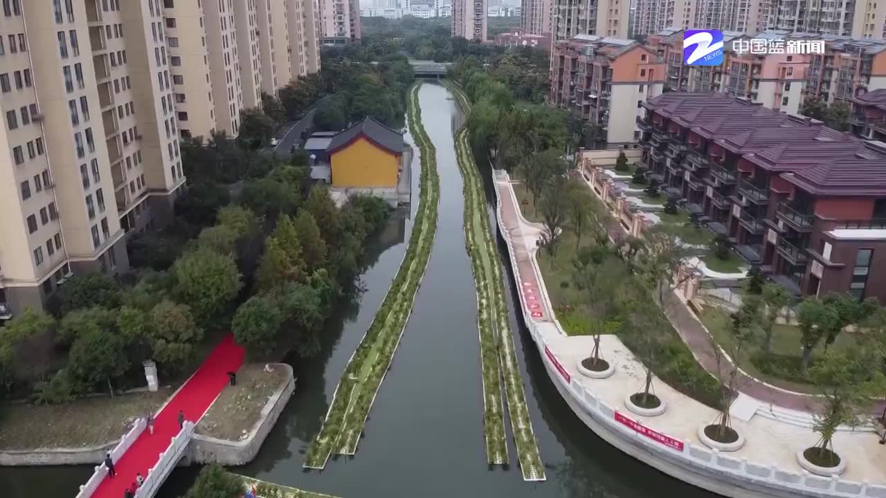 丰收啦！他们竟然这样收割水稻