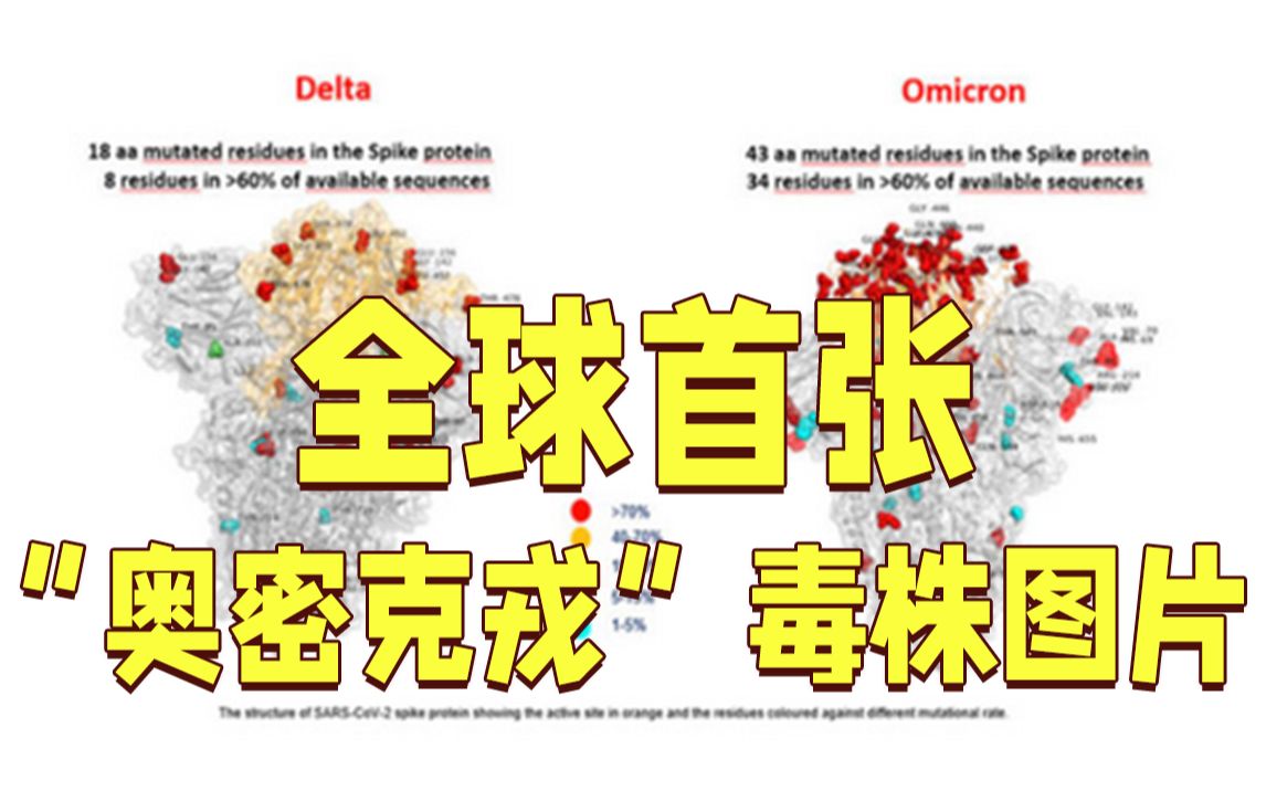 全球首张！“奥密克戎”VS“德尔塔”毒株图片
