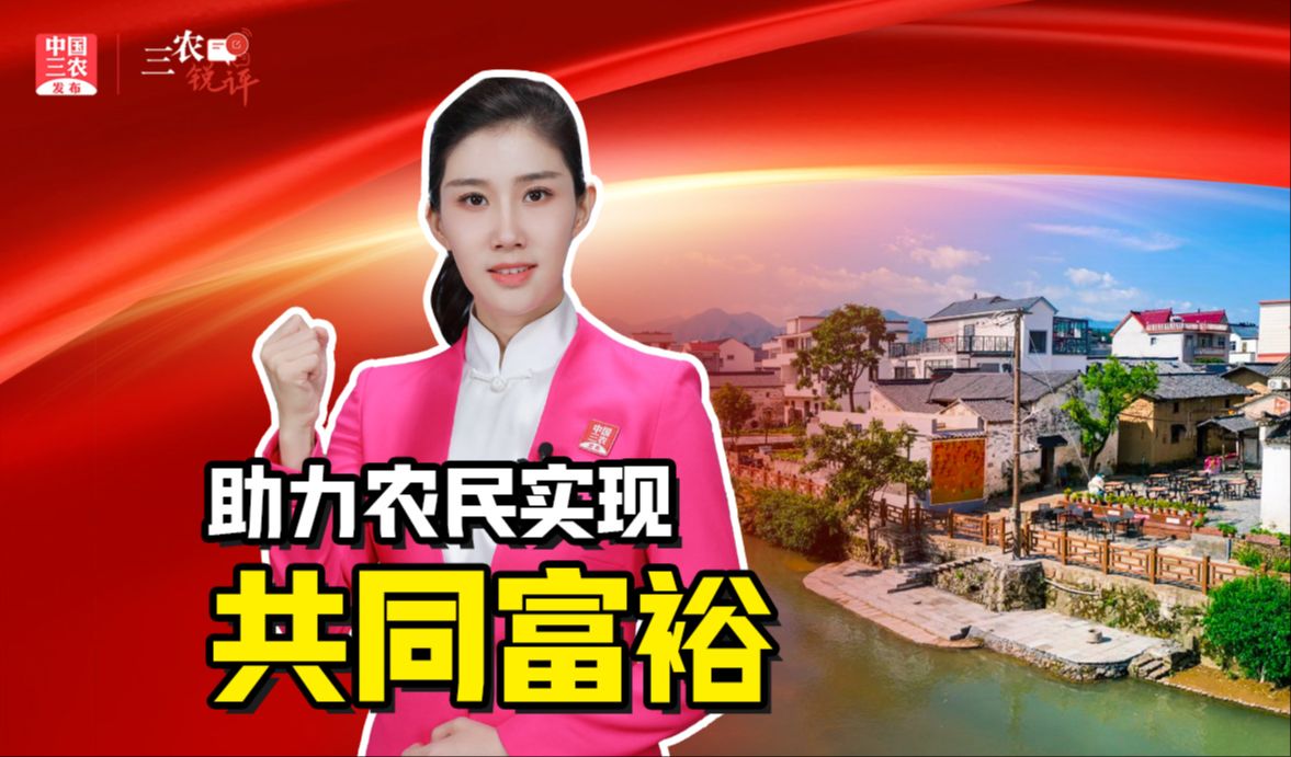三农锐评丨激发农村集体产权制度改革动能 助力农民实现共同富裕