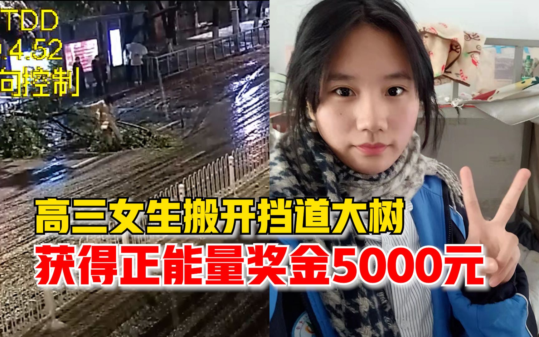 高三女生搬开挡道大树被奖5000元，妈妈：望她能保持一颗善良的心