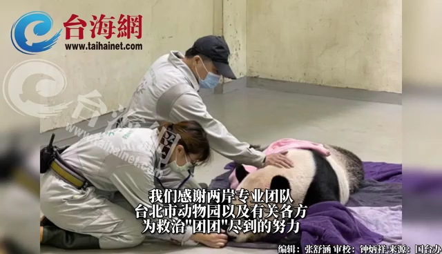 国台办发言人朱凤莲：对大熊猫"团团"病逝感到痛心和惋惜