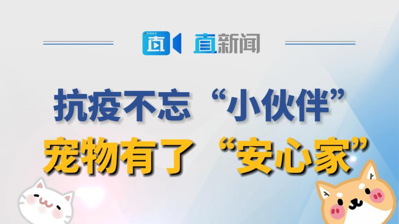 抗疫不忘“小伙伴” 宠物有了“安心家”