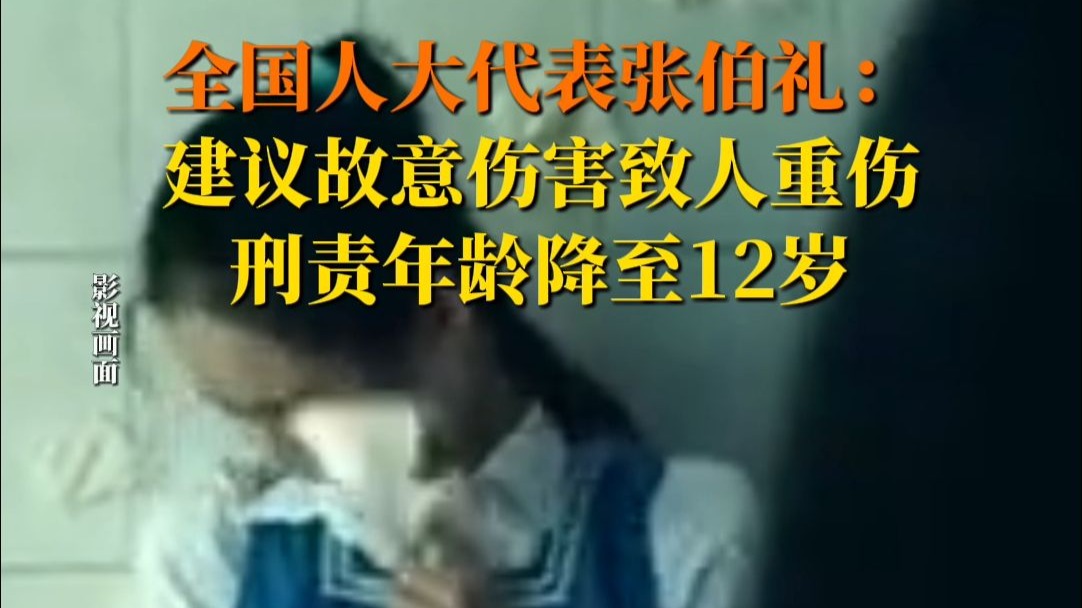 全国人大代表张伯礼：建议故意伤害致人重伤 刑责年龄降至12岁