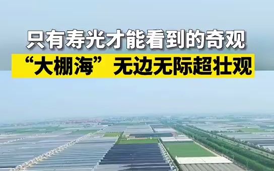 只有山东寿光才能看到的奇观 “大棚海”超壮观