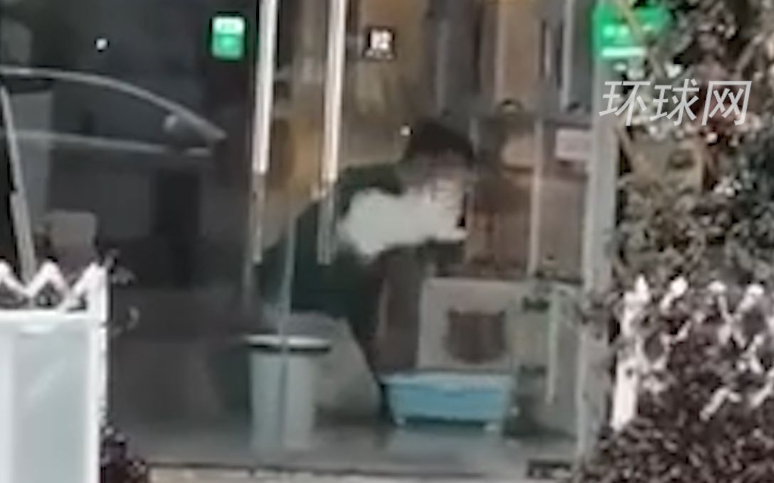 芜湖七月猫舍回应店主反复将小猫摔地上：压力大没控制住
