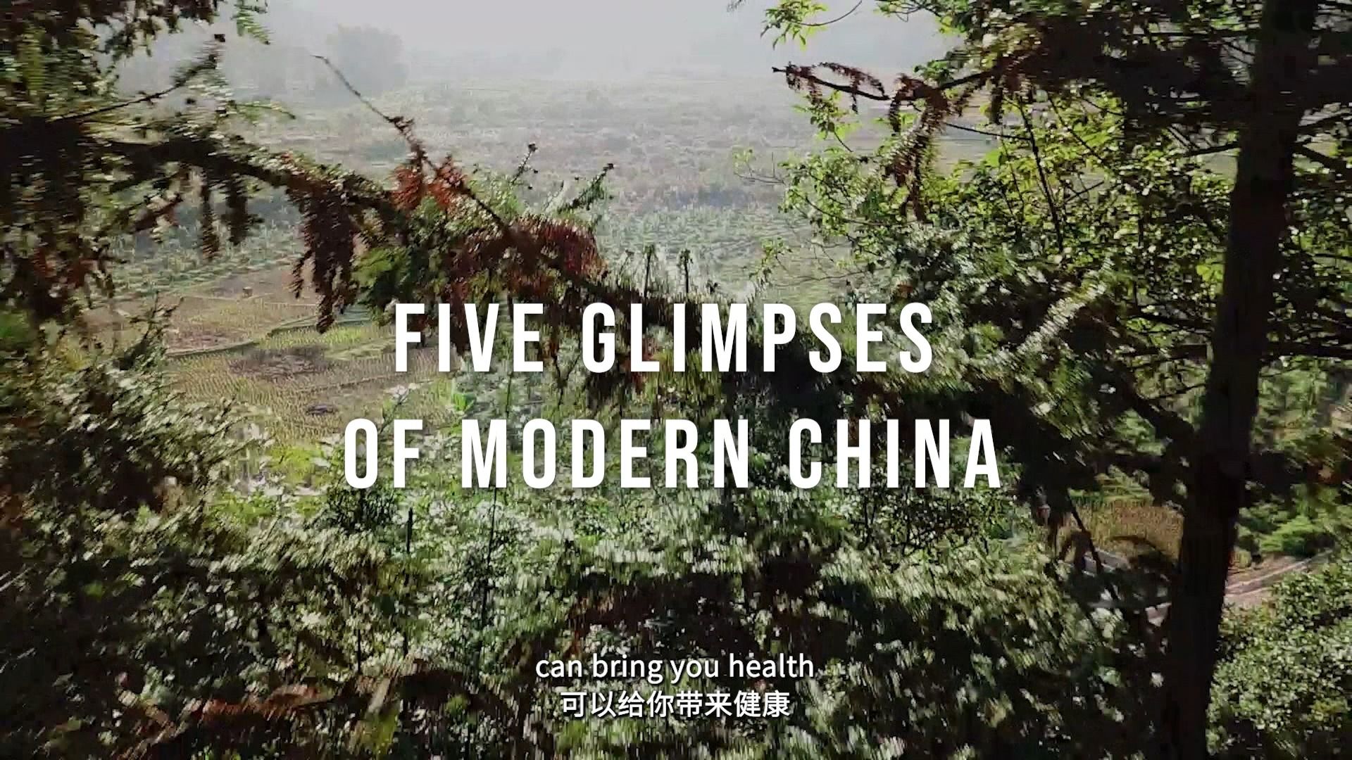 【五个故事，为世界展现新时代中国的五个瞬间】
