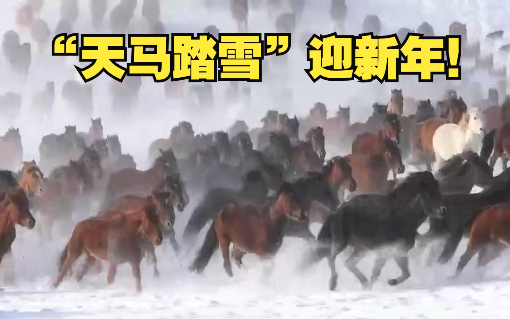 “天马踏雪”迎新年！