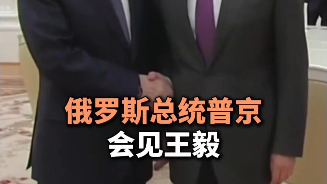 俄罗斯总统普京会见王毅