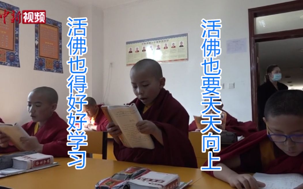 听这西藏佛学院朗朗的读书声 活佛也要好好学习！