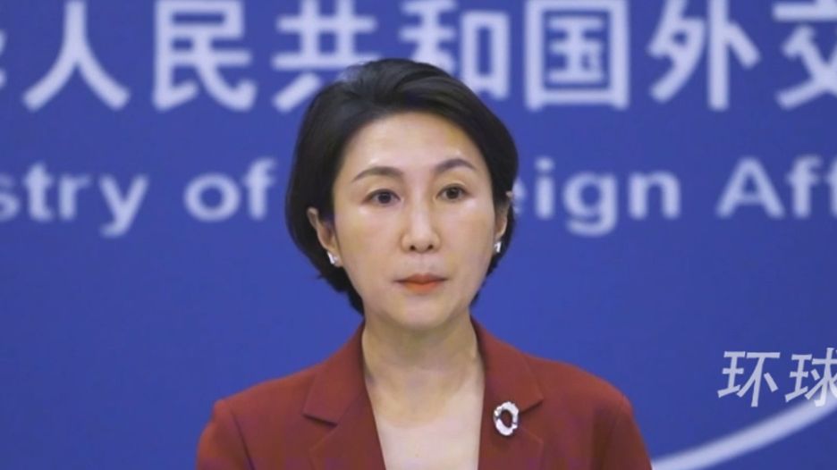 中国民政部已通知美方不再开展任何领养相关工作？外交部回应