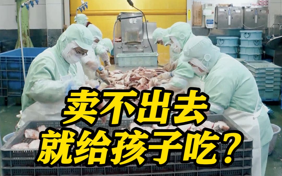 日本自民党提议：滞销水产品供应学校食堂