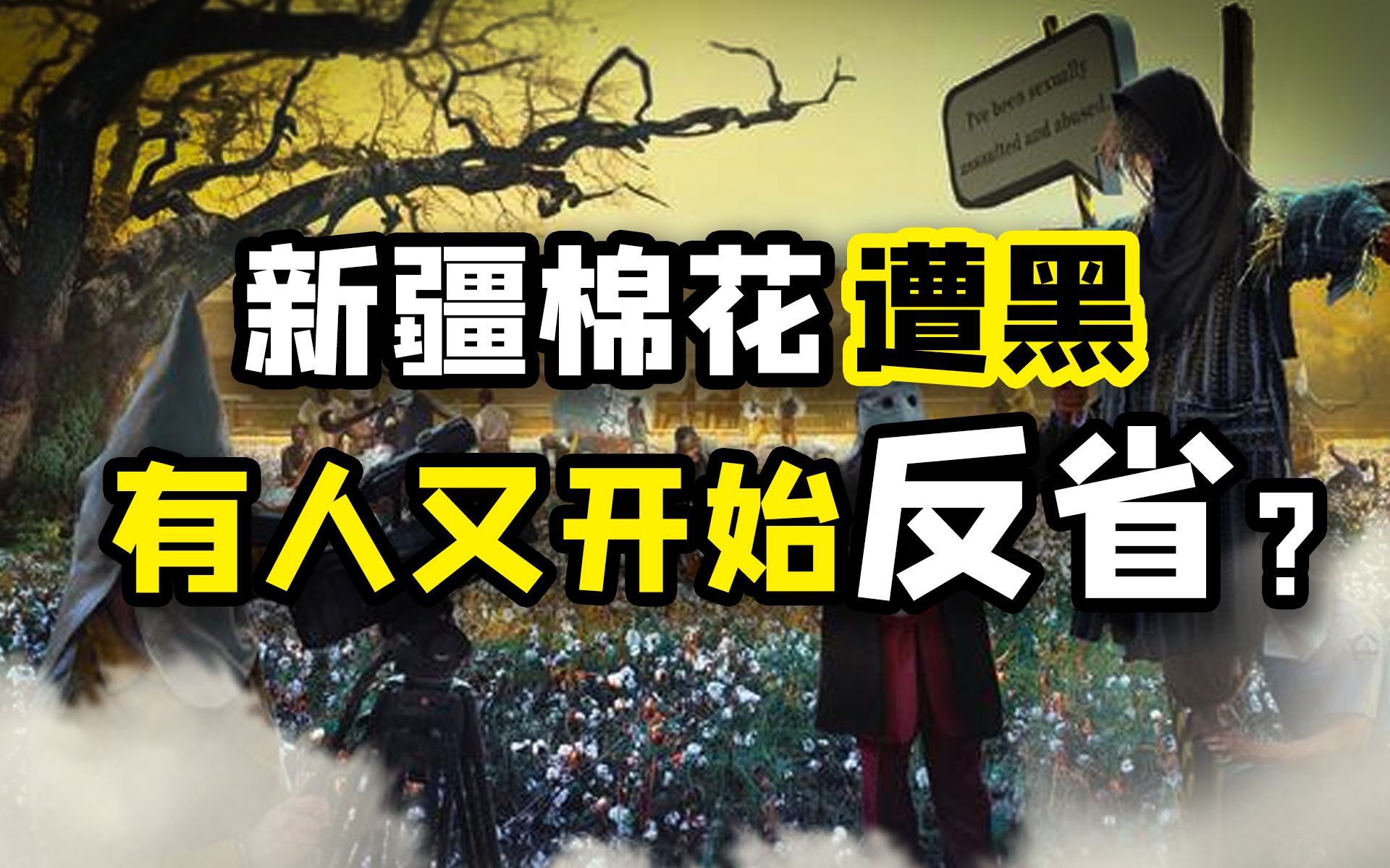 有人说抹黑新疆棉花的BCI“人畜无害”？那CIA怕不是慈善组织【范神论】