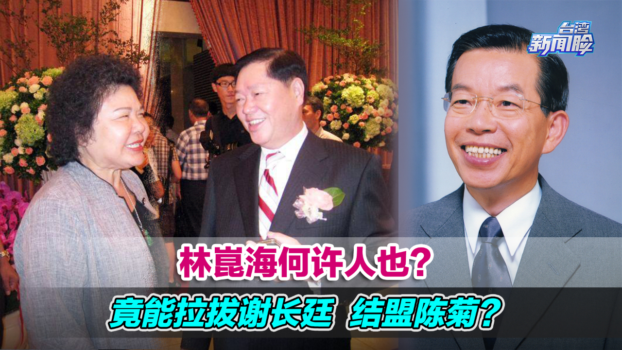 林崑海何许人也？竟然能“摧毁”苏贞昌，拉拔谢长廷，结盟陈菊？