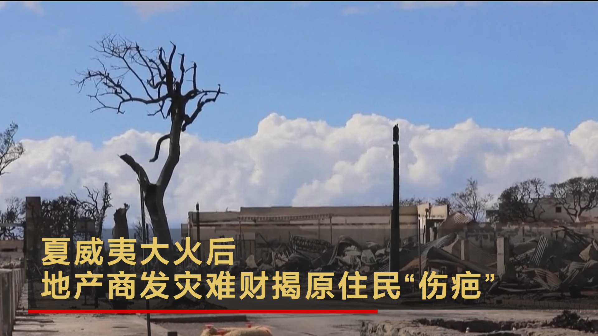 夏威夷大火后 地产商发灾难财揭原住民“伤疤”