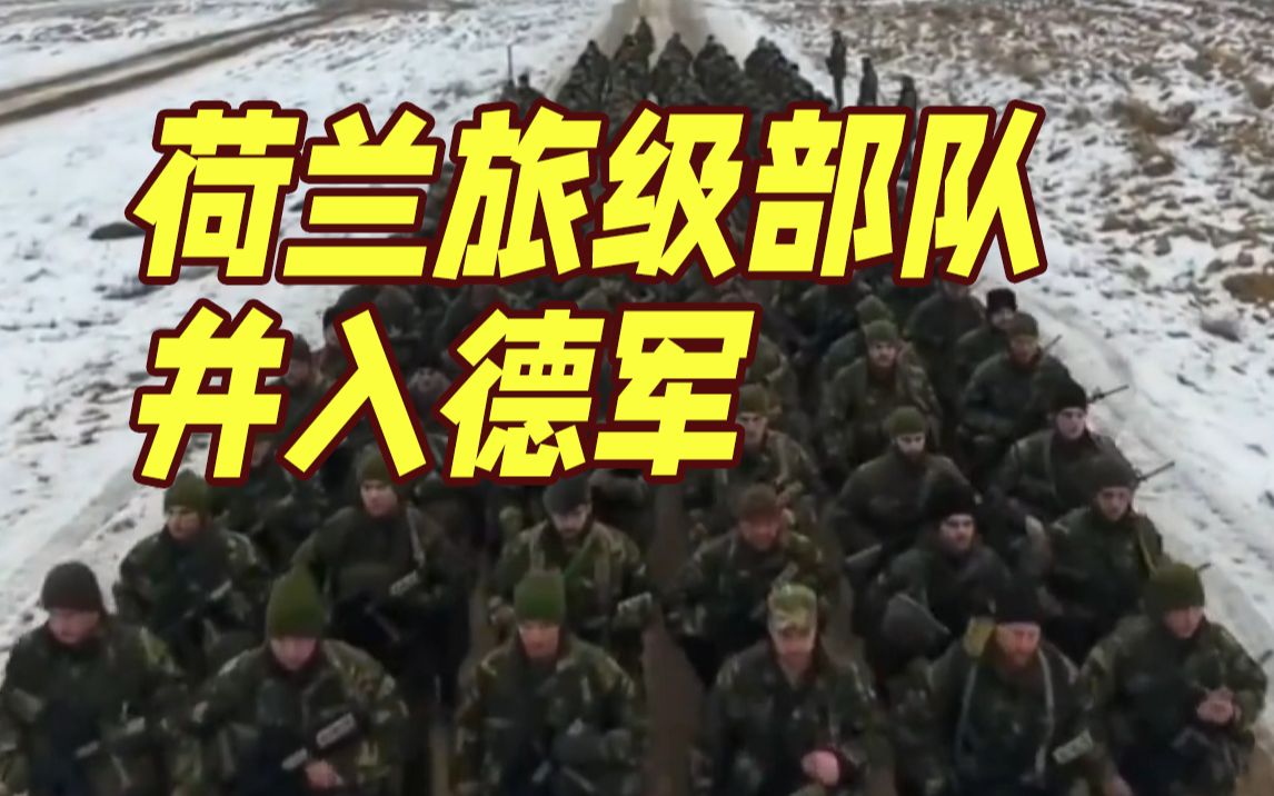 荷兰旅级部队并入德军 西媒惊叹：历史性的一步！
