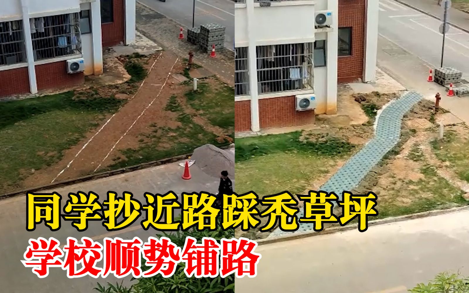 人性化管理！同学抄近路踩秃草坪学校顺势铺路