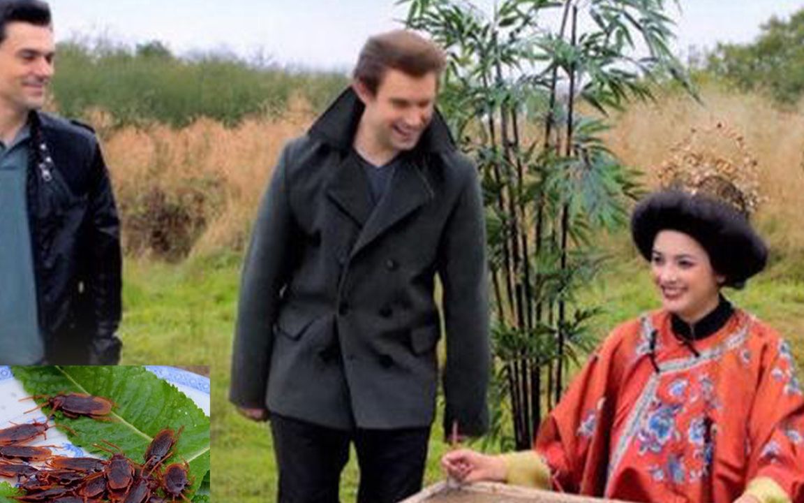 难怪如此仇华！澳洲人自小就给儿童“洗脑”，华人忍气吞声
