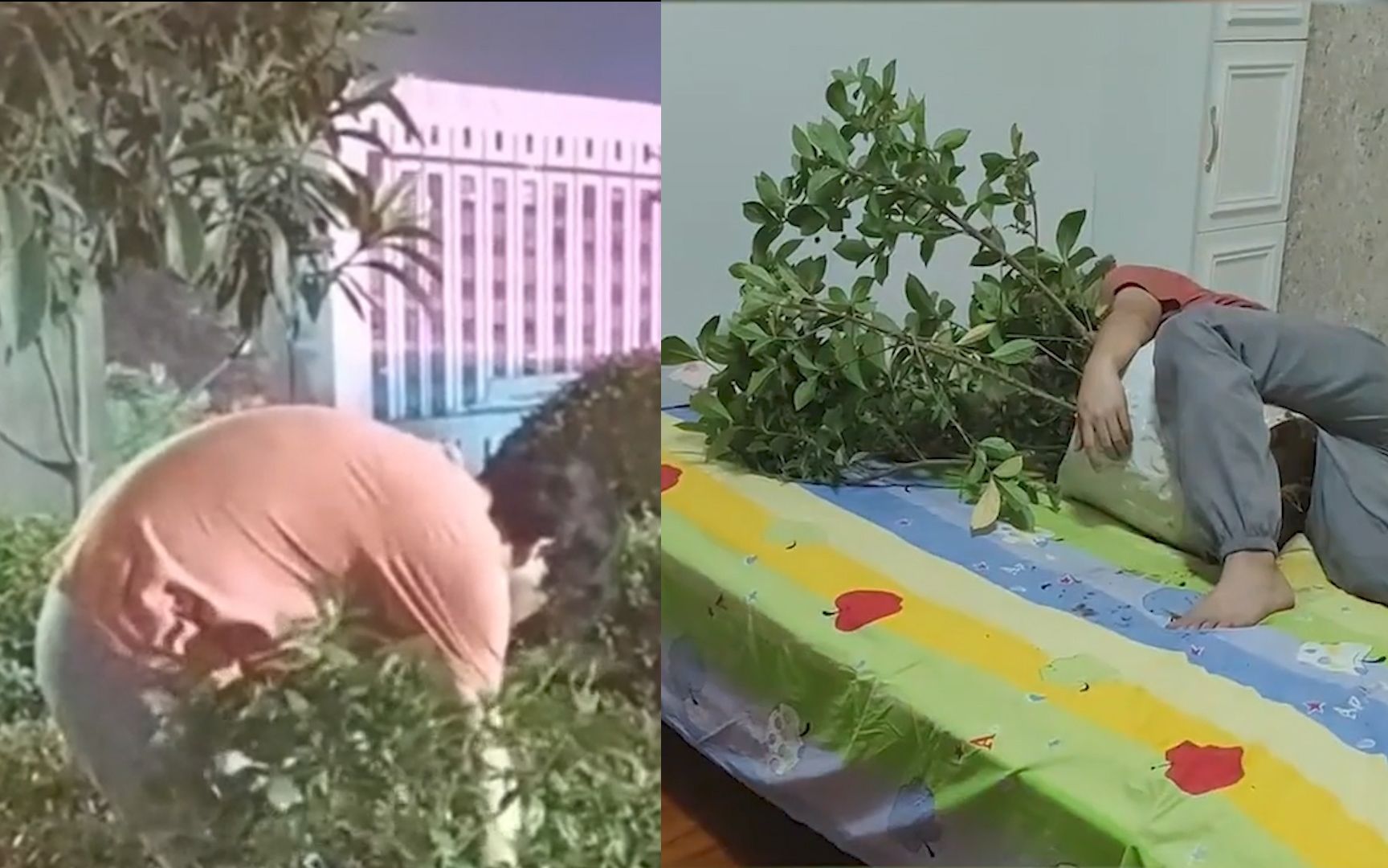 迷惑行为！醉酒老公把楼下花盆搬到床上睡 女子随“路标”开门气炸
