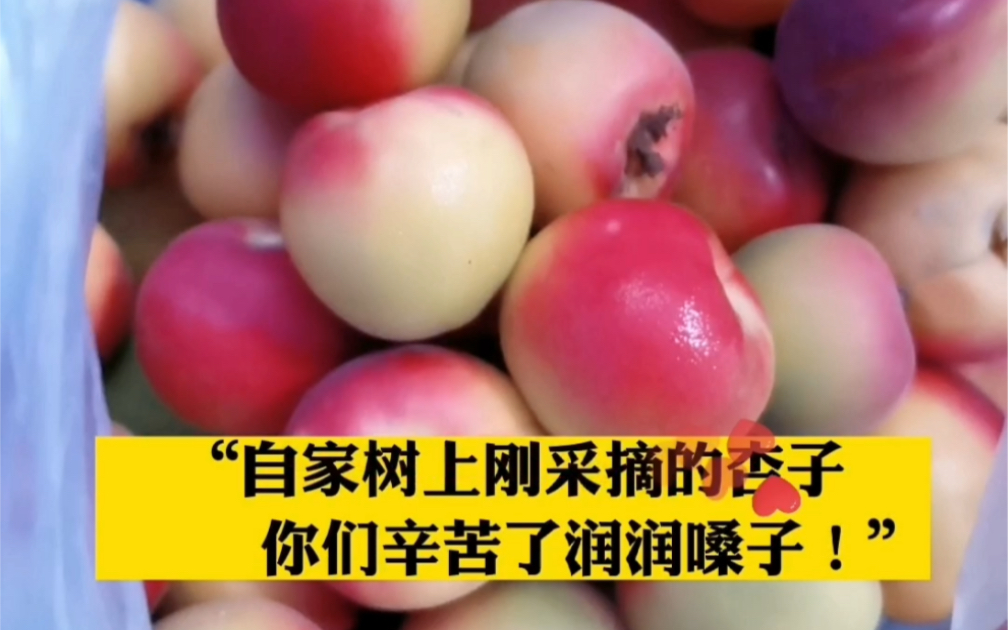 “你们辛苦了润润嗓子”！7月18日甘肃兰州，大众巷北卡口点一位大哥硬核投喂抗疫一线工作者