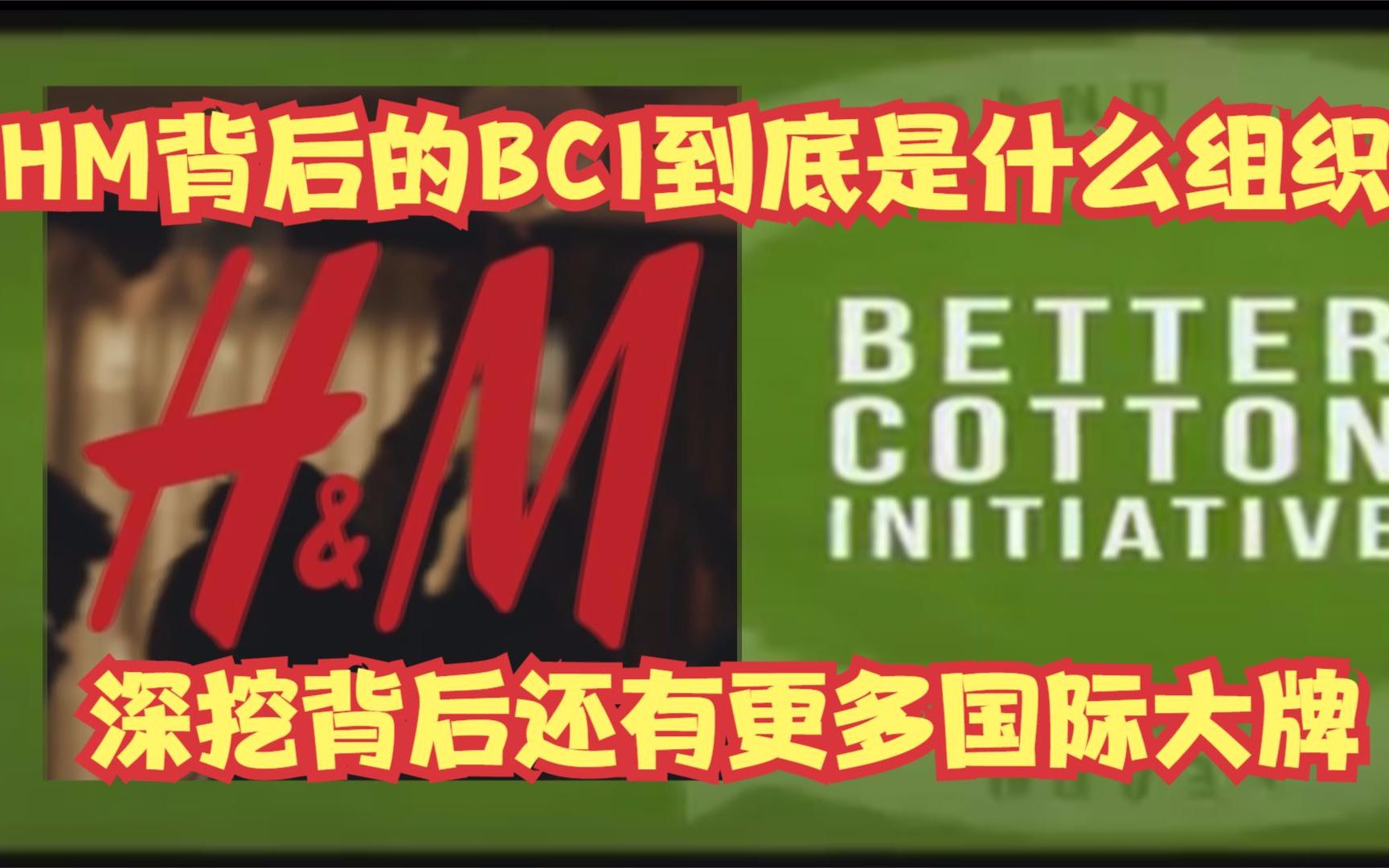 HM背后的BCI到底是什么组织 深挖背后还有更多国际大牌