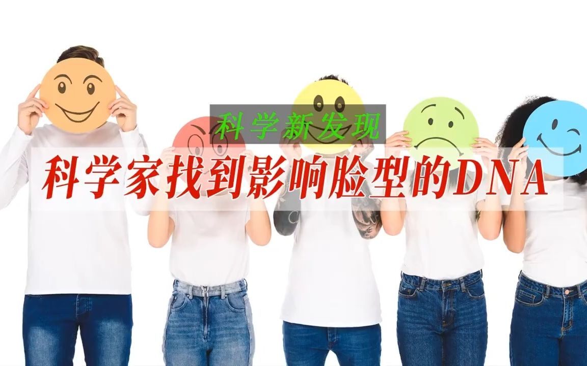 科学家找到影响脸型的DNA