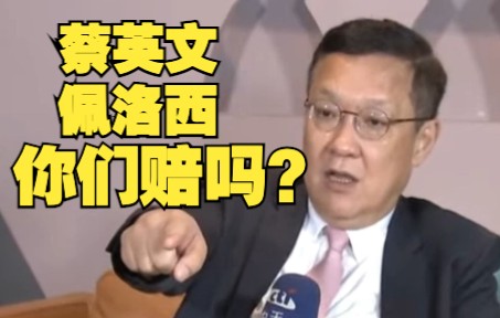 介文汲批佩洛西窜访台湾：损失蔡英文赔？还是佩洛西赔？