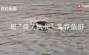 600里加急！给江豚送“外卖”