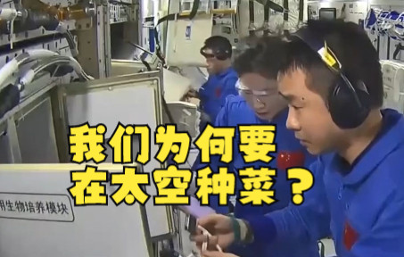 我们为何要在太空种菜？