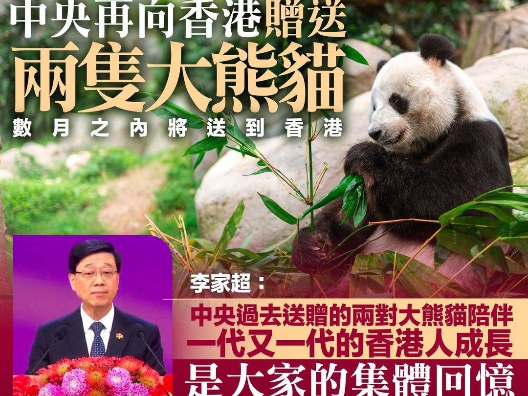 李家超：中央将再赠香港一对大熊猫，料几个月后到港