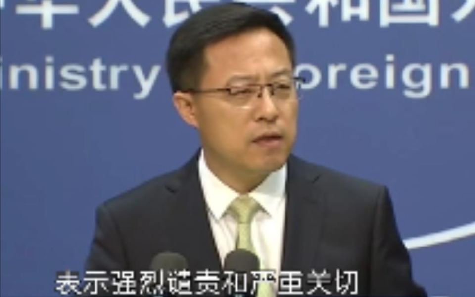外交部：强烈谴责捷克反华势力侵犯中国主权