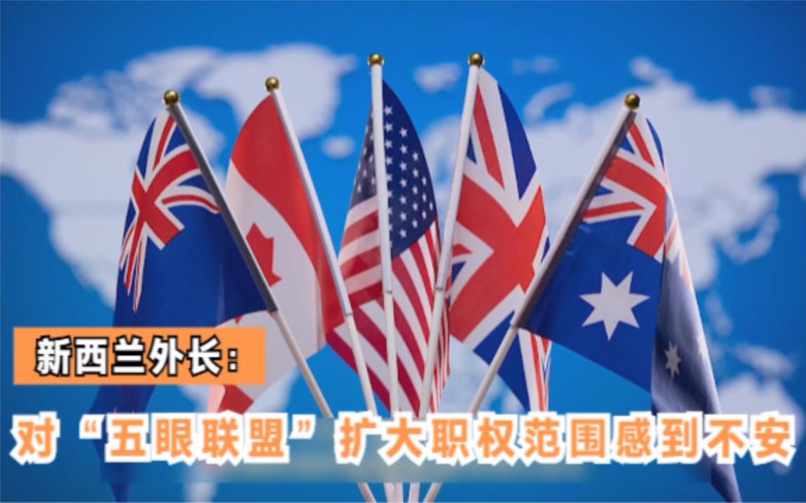 新西兰外长：对“五眼联盟”扩大职权范围感到不安