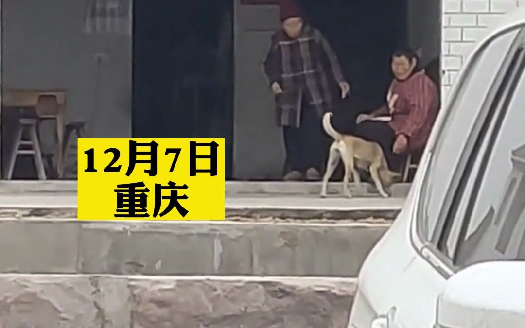 大学生放假回家，正吃邻居家蹭饭的狗子听到呼唤，饭都不吃了飞奔迎接主人