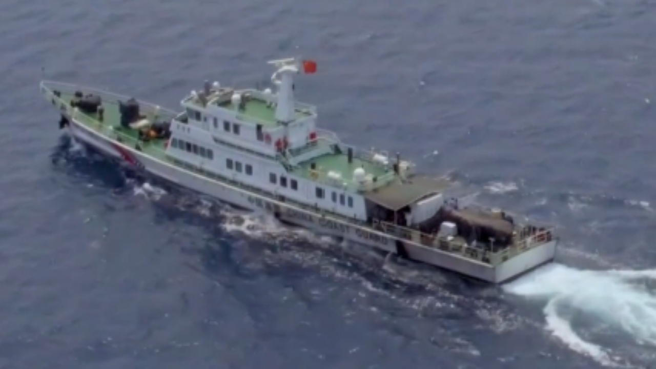 邂逅“小可爱”！近70只海豚西沙伴航海警舰艇