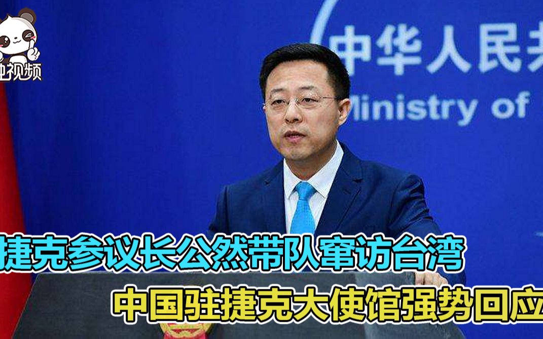 捍卫主权！捷克参议长带队窜访台湾 中国驻捷克大使馆强势回应
