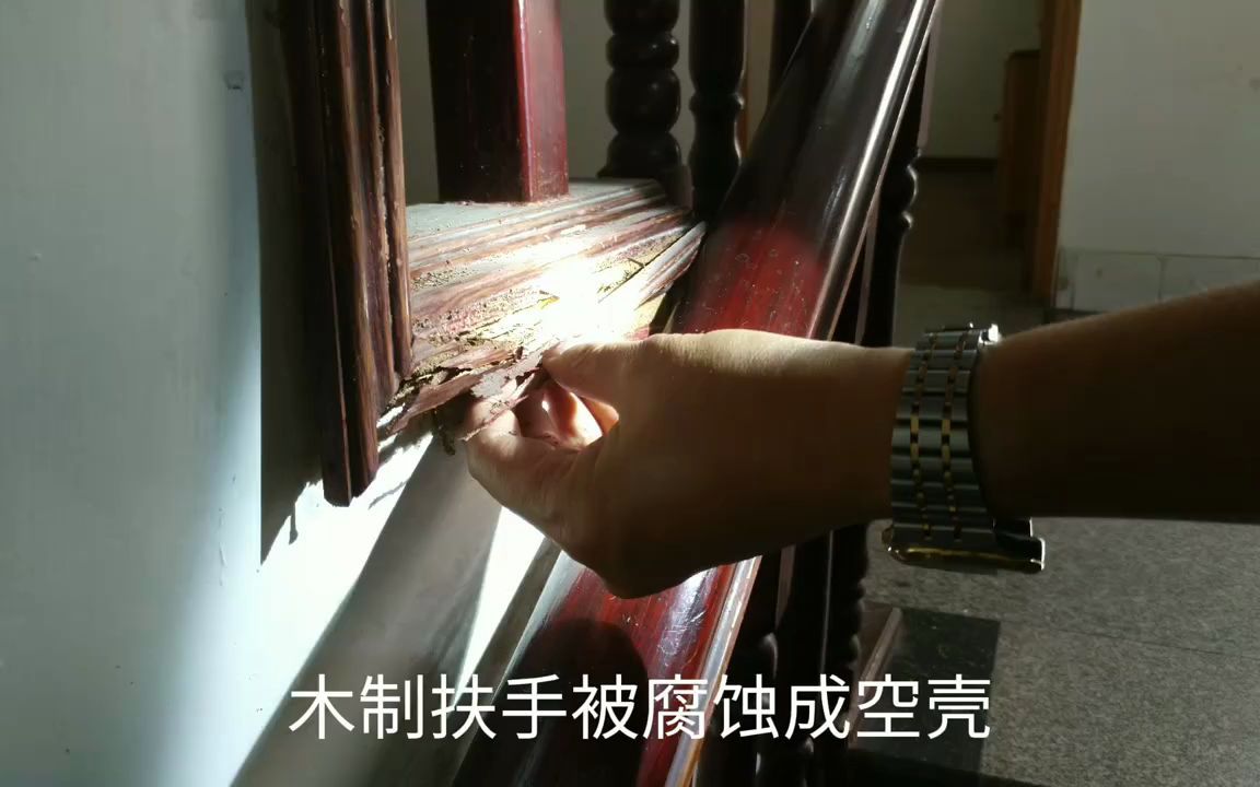 80万只白蚁“霸占”三层民房，屋主晚上不敢开灯