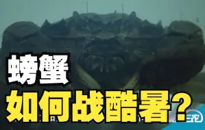 聚焦三农丨螃蟹如何战酷暑