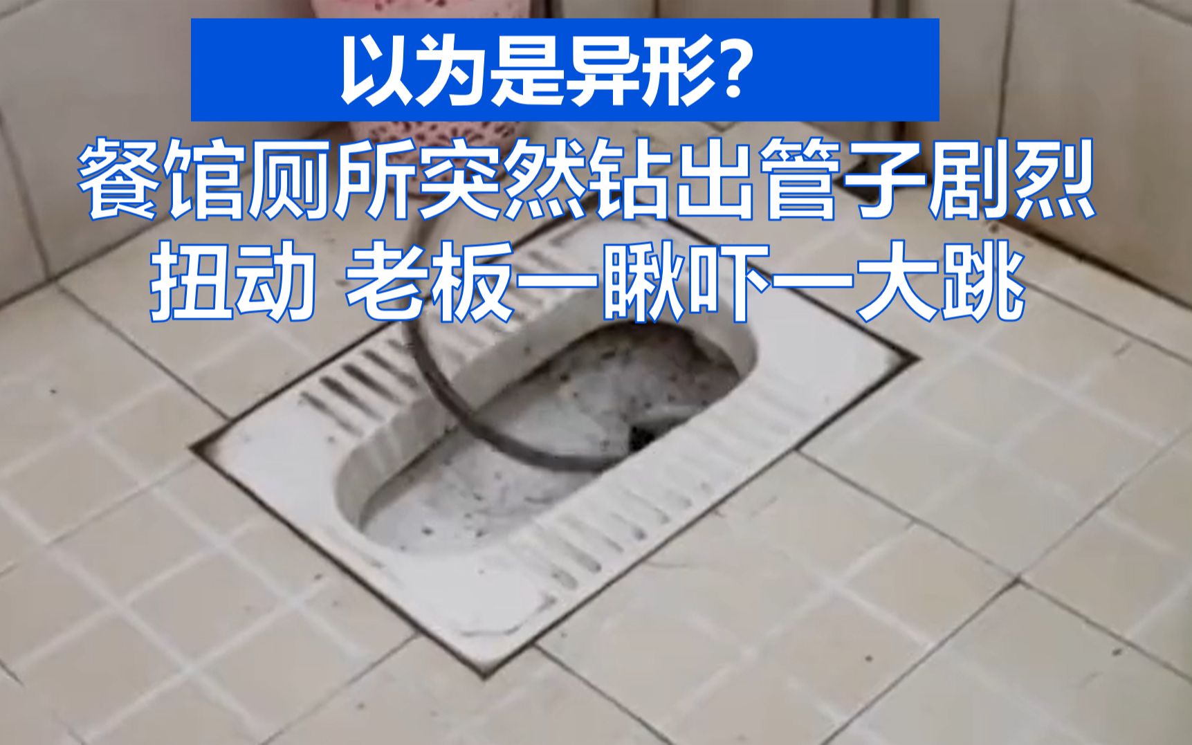 餐馆厕所突然钻出一管子剧烈扭动 老板一瞅吓一大跳：以为是异形
