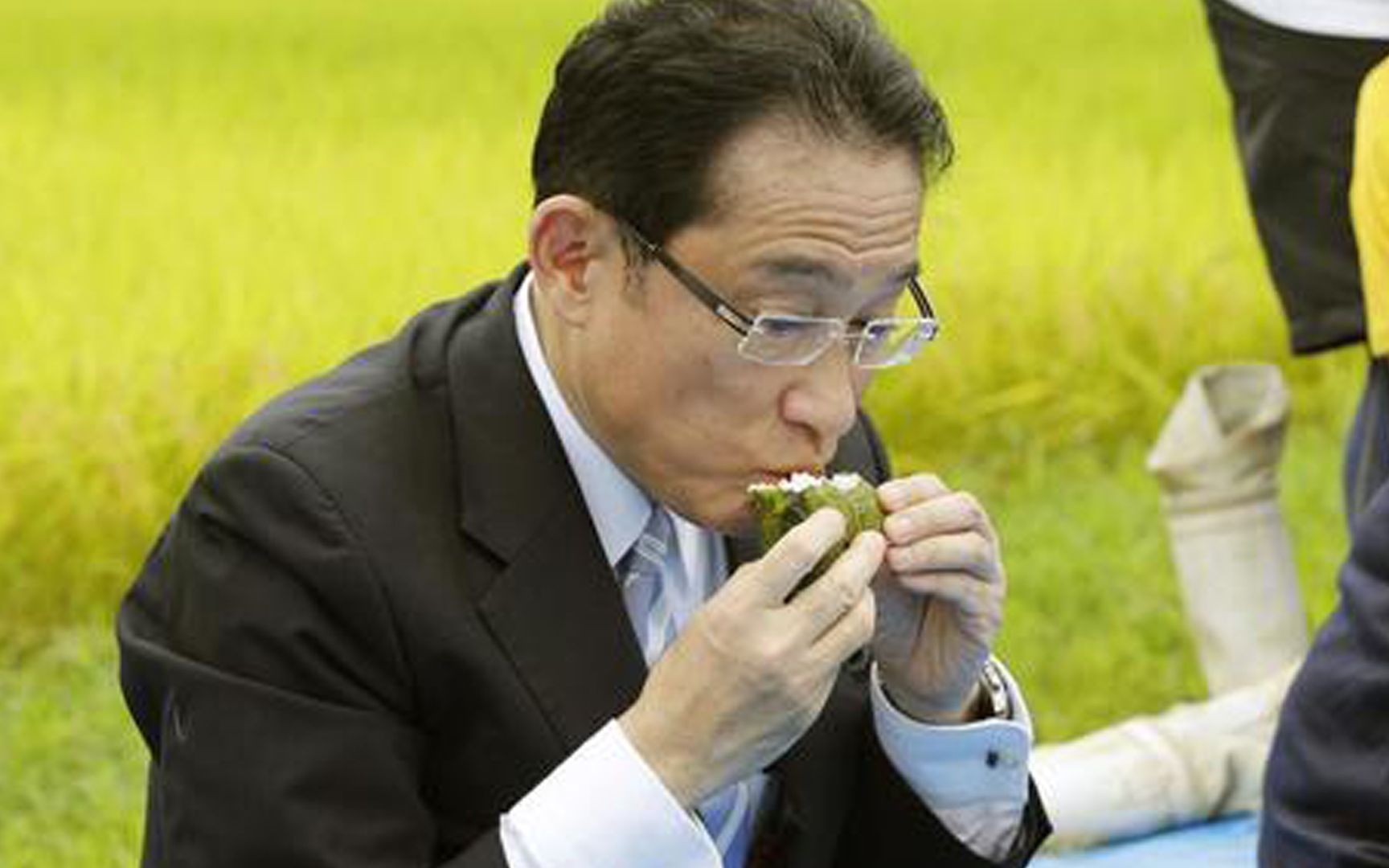 日本计划用核污染土铺路种菜...