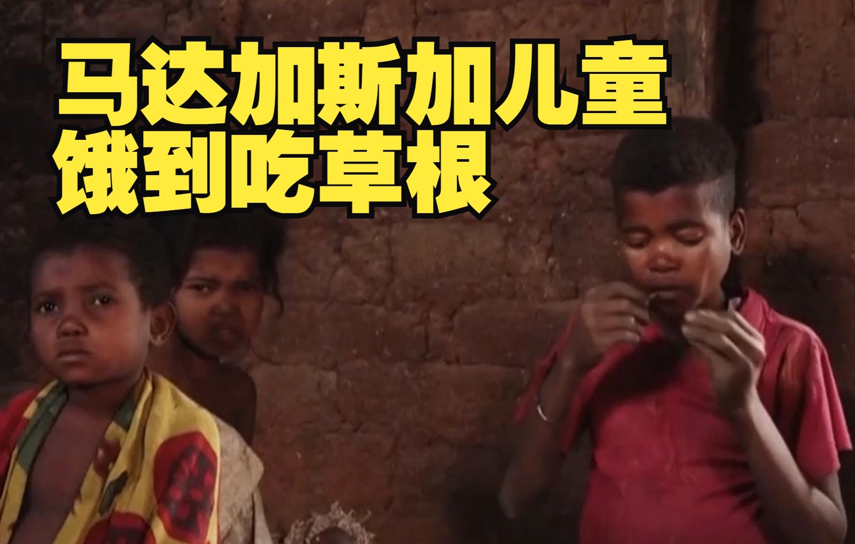 马达加斯加儿童饿到吃草根