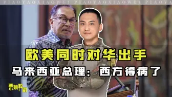 欧美同时对华出手，马来西亚总理说了句大实话