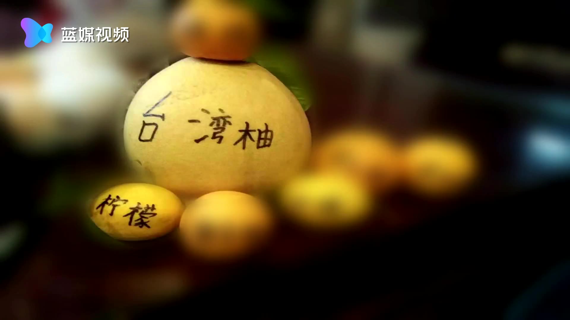 神奇！一棵香泡树结出五种不同的果实