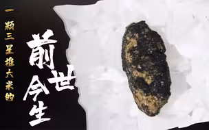 一颗3000多岁的大米
