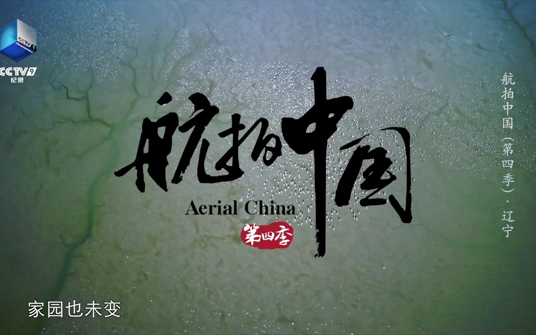 航拍万只斑尾塍鹬震撼过江