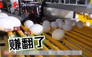 趁缺蛋发财？台湾“一人公司”进口鸡蛋近亿颗，或有绿营背景