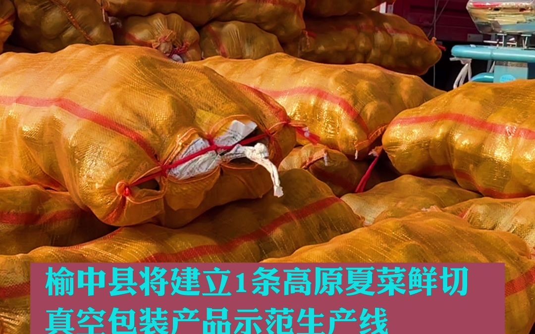 助推高原夏菜提质增效，兰州市榆中县借助科技力量将建4条“生产线”